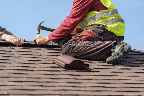 Best Roof Waterproofing Services  in St Louis, MI