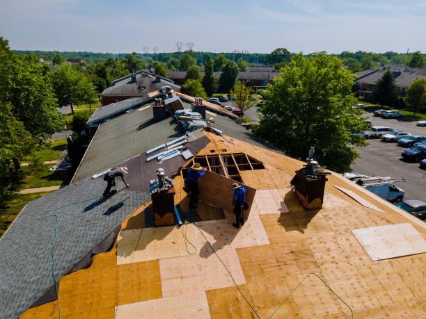 Best Flat Roof Repair Services  in St Louis, MI