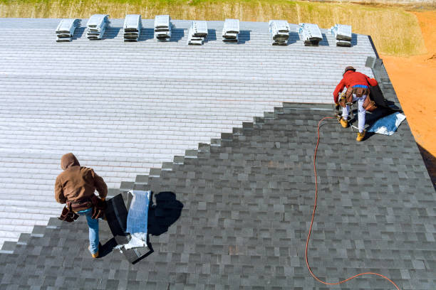 Best Roof Gutter Cleaning  in St Louis, MI