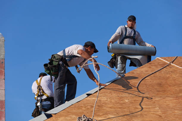 Best Roof Repair Estimates  in St Louis, MI