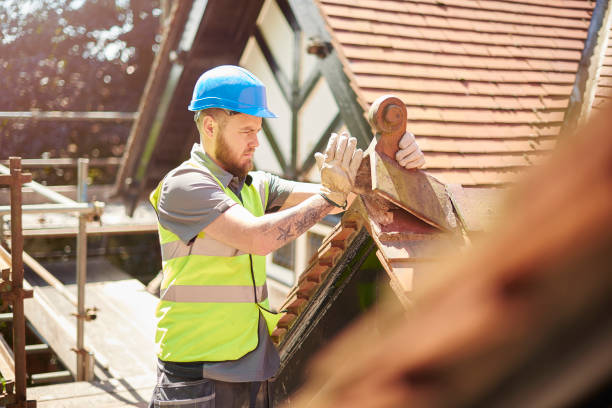 Roof Waterproofing Services in St Louis, MI