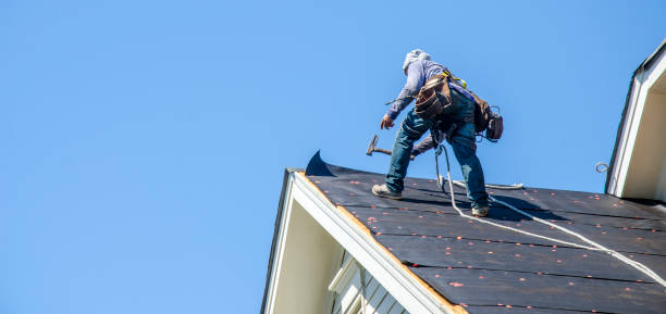 Best Residential Roofing Contractor  in St Louis, MI